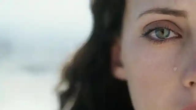 El Equilibrio De La Vida