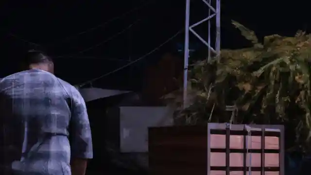 La Búsqueda Desesperada