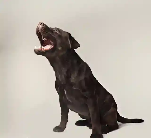 抵抗
