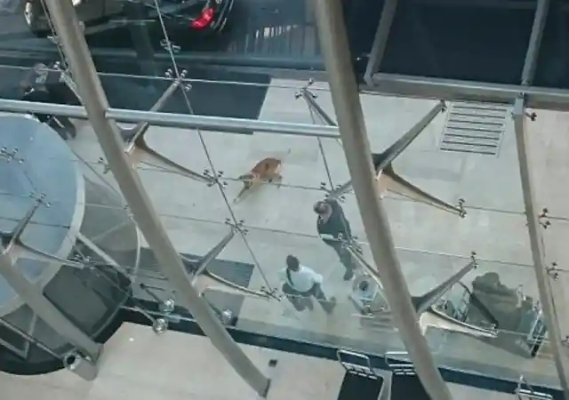 Trying To Get Information