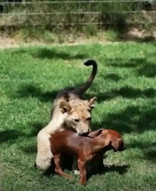 Real Miracle Happened