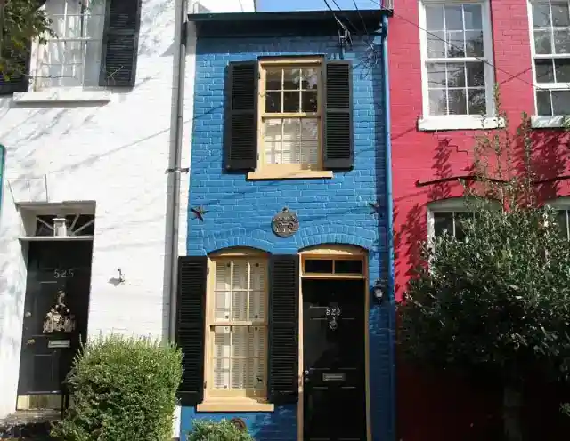 Beauty That Transcends Time