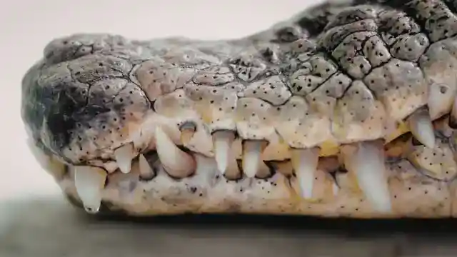 The Signs Had Always Been There