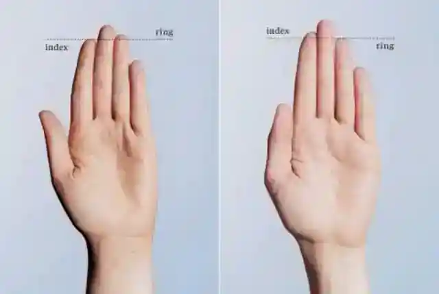 A형: 약지가 검지보다 길다