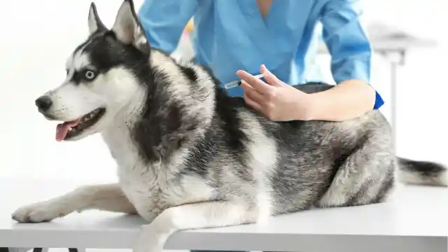 In The Examination Room 