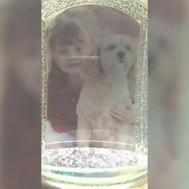 Welcome to The Family