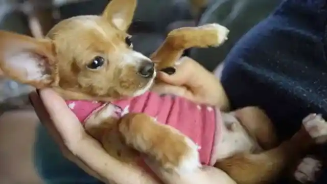 Love At First Sight