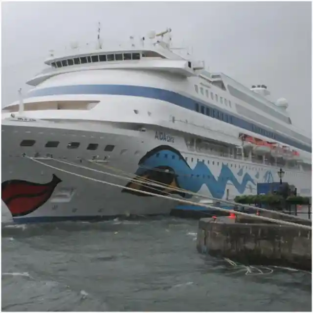 The Cruise Ship – Reality