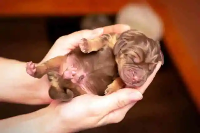 한 번의 부드러운 손길이 만든 기적