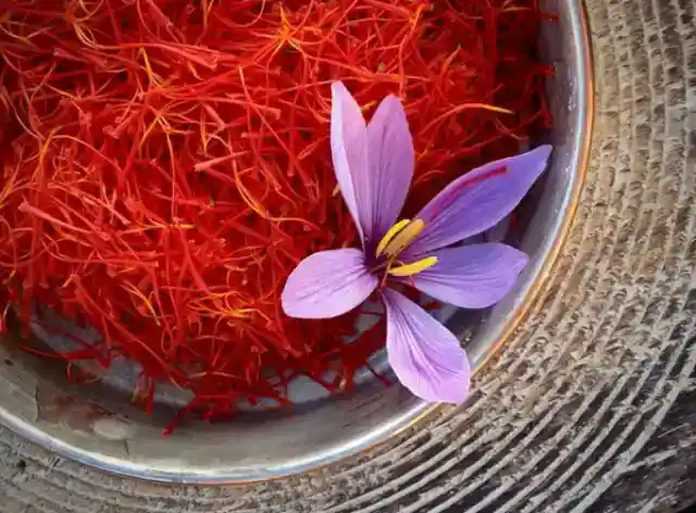 18. The Saffron Kingdom