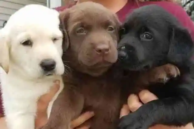 두 아버지, 하나의 놀라운 발견