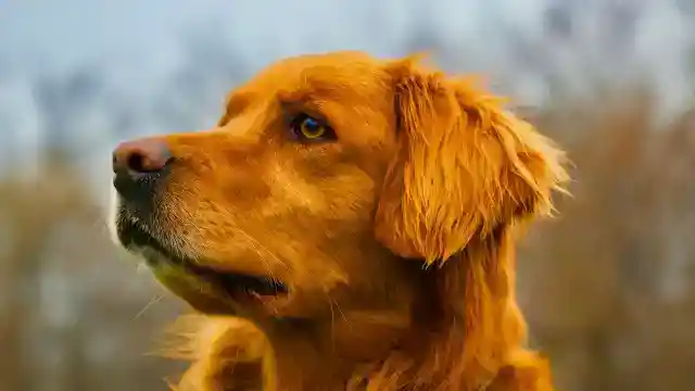 Went On For Too Long 