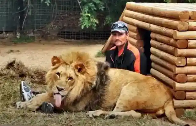 Freedom-Loving Gregarious Animals