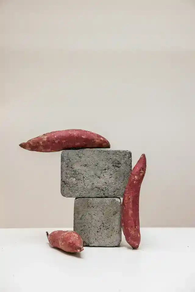 고구마
