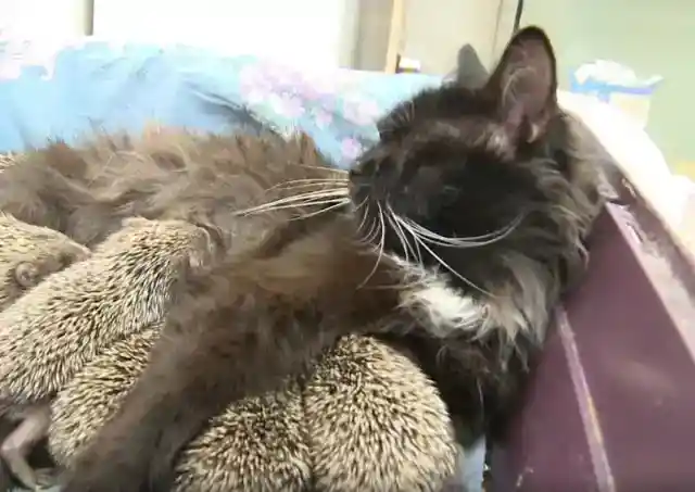 People Were Speechless