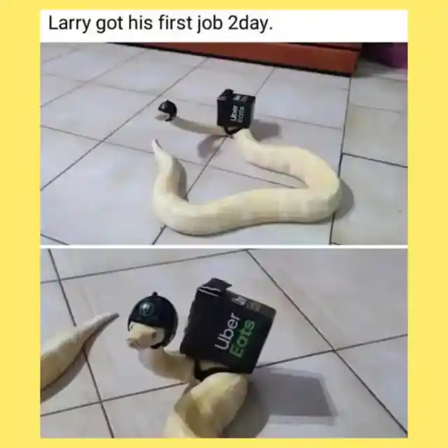 A Serpent Diligently At Work