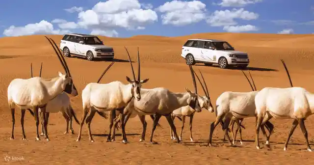 The Dubai Desert Conservation Reserve
