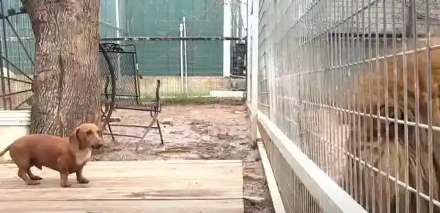 Worry of the Workers