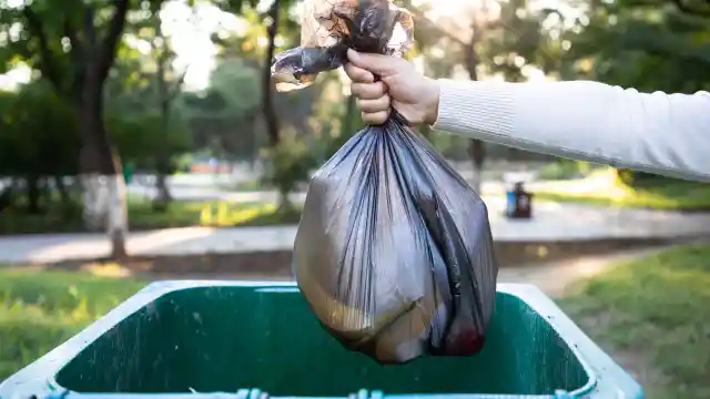 Father Uncovers Neighbor's Secret Trash Habit, Solving a 10-Year Mystery