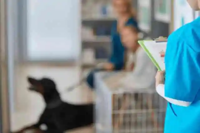 1人の母親、2人の子