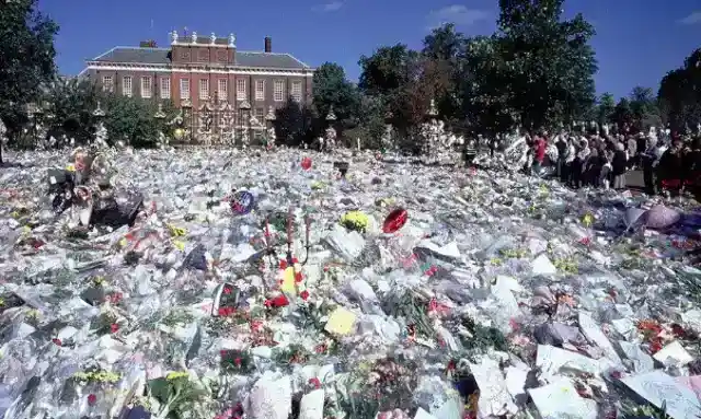 30. Diana Remembered