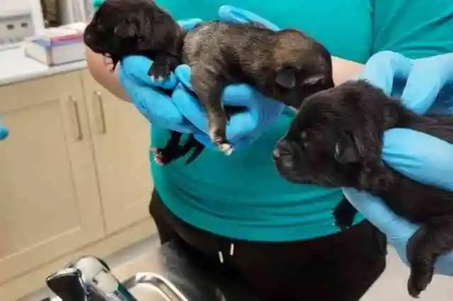 무언가 이상했다