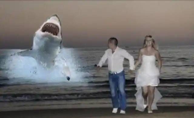 Jaws And Vows