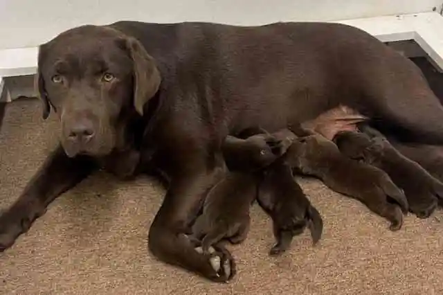 明らかになった12の小さな手がかり