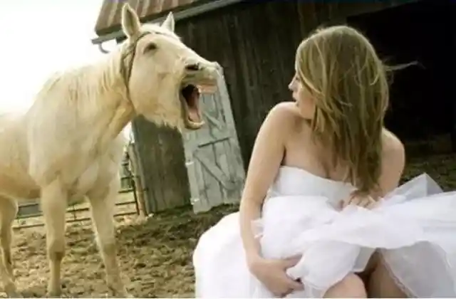 Hilarious Wedding Fails and Funnies