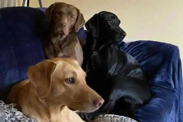 안전한 안식처를 찾아서