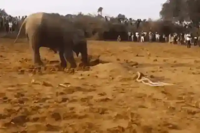 置き去りにされた