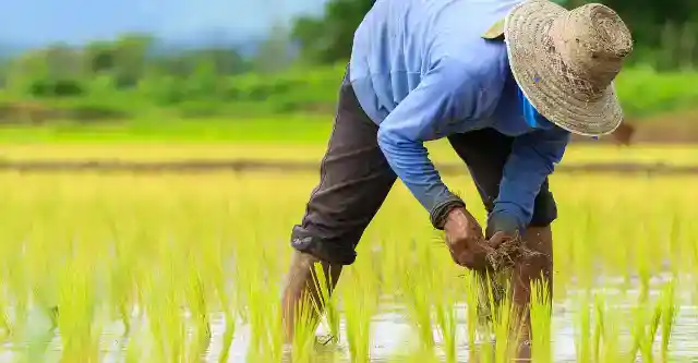 Could Not Afford The Renovations