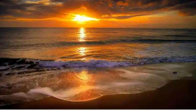 The Warmth Of The Day