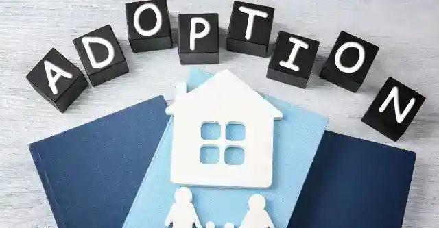 Opening Hearts to New Beginnings