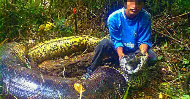 何が中にあったのか？