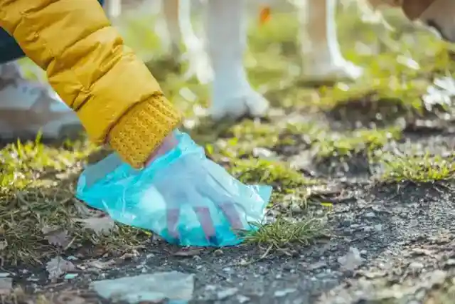 새로운 삶