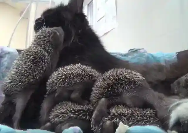 She Wanted To Be With Them