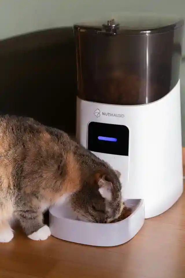 重力式フィーダーの活用