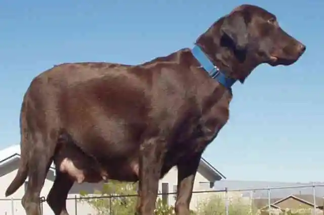 誰もが予想していた以上のもの