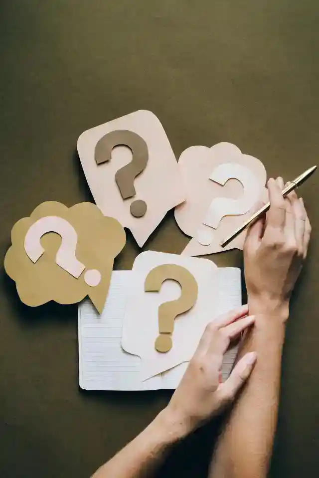 모든 것이 이해되다