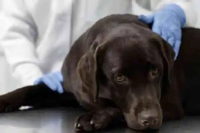 12の小さな奇跡