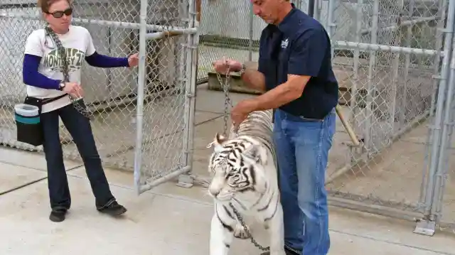Reuniting for Good