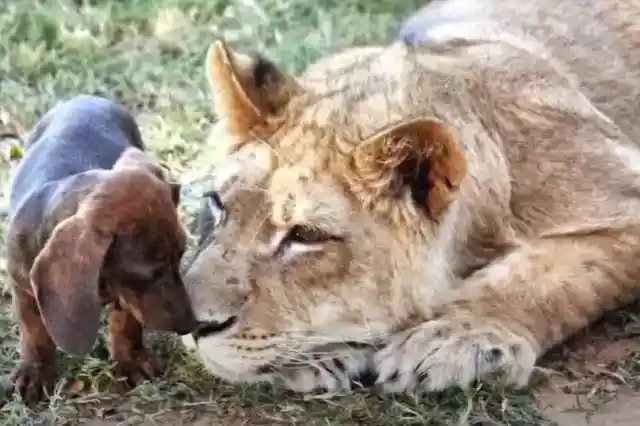 Doing Everything Together