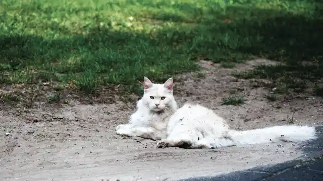 A Deformity