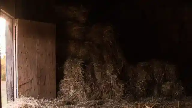 古い写真の裏側