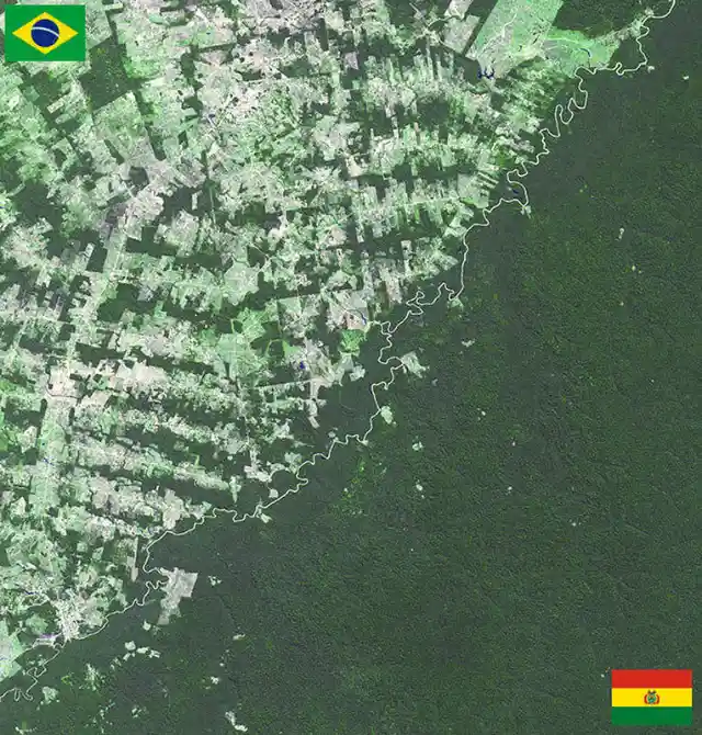 Bolivia-Brazil, From Pantanal to the Amazon