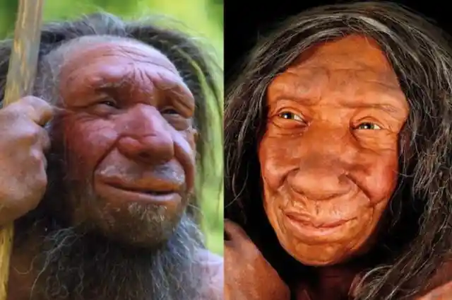 Homo Heidelbergensis