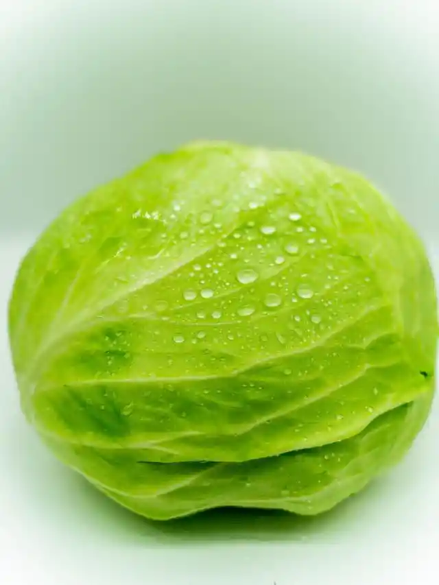 Have You Heard of The Cabbage Soup Diet?