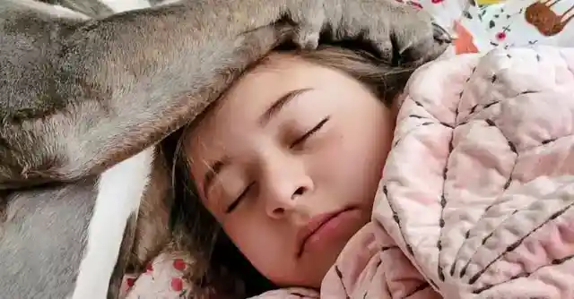 コンピュータに