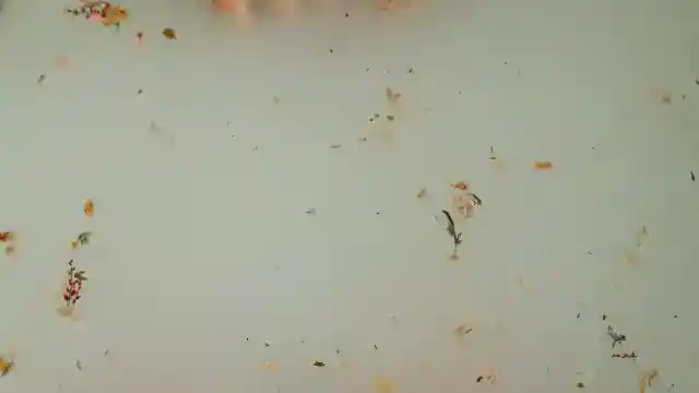 Unexplainable Herbs And Spices